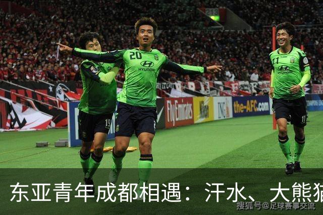 东亚青年成都相遇：汗水、大熊猫与友谊