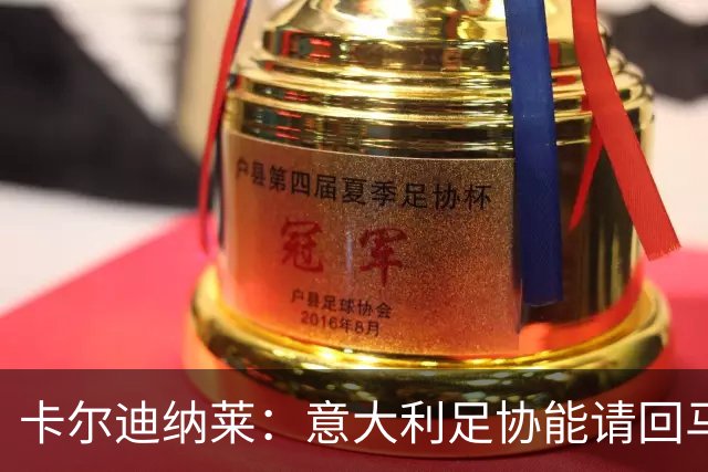 卡尔迪纳莱：意大利足协能请回马尔蒂尼，说明他们开始醒悟了